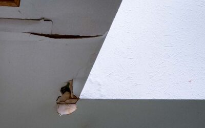 Where do Skylights Leak?
