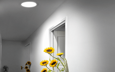 Using Sun Tunnels For Healthy Plants