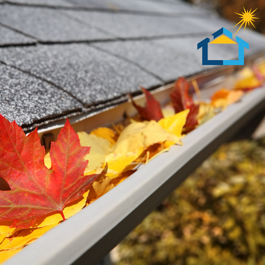 GAF architectural shingles on an Edmonton home with wind-resistant roofing.